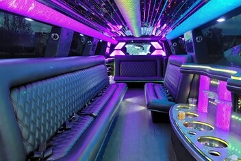 Lakeville Limo Interior